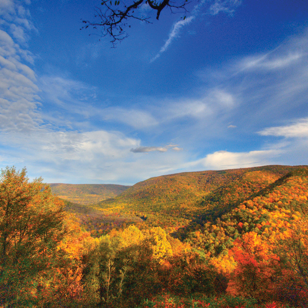 Ohiopyle State Park