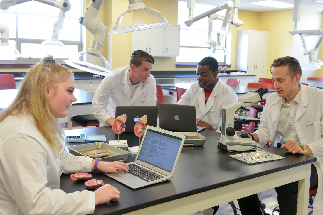 Students work together in a lab in the Boyle Health Science Center.