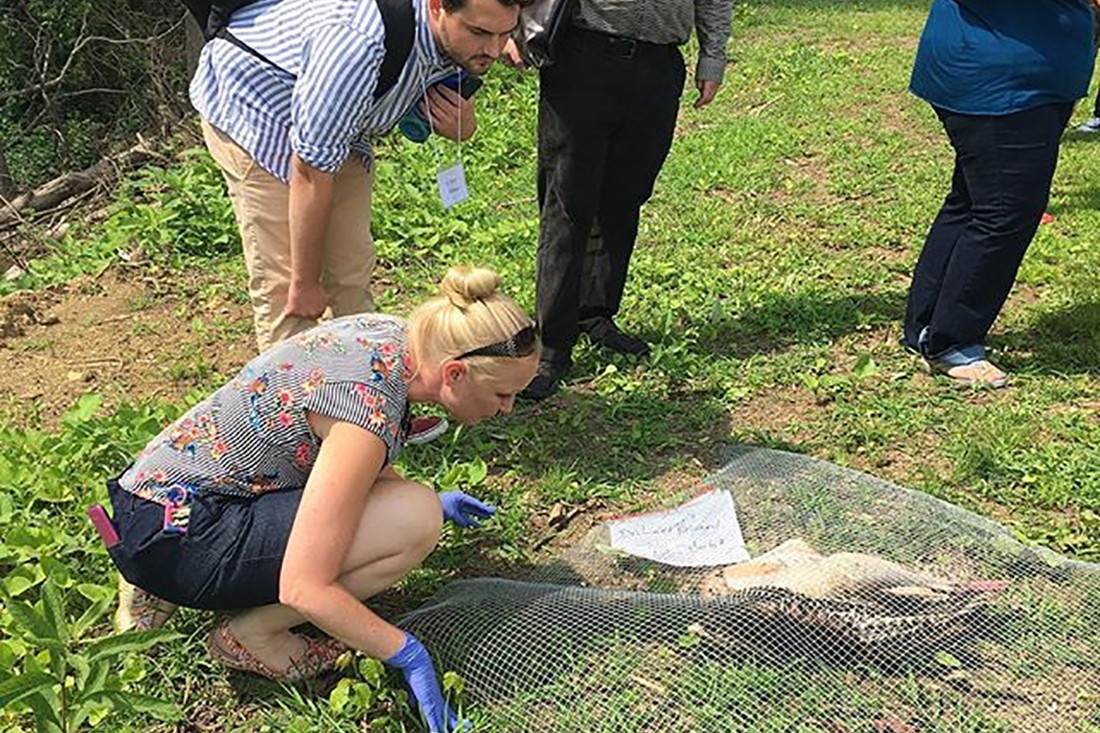 Forensic anthropologist and Seton Hill biology professor Bobbie Leeper, Ph.D., uses the corpse of a wild turkey to demonstrate specifics of decomposition for mystery, horror and crime writers.