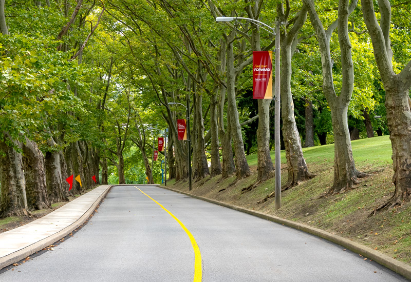 seton hill treelined entrance